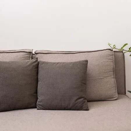 Magical Brand New Zipárion