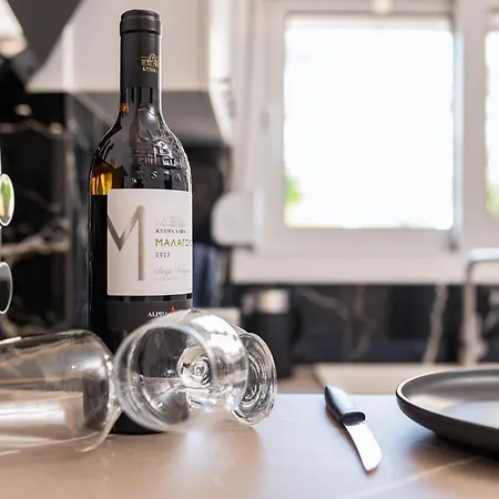 Daire Magical Brand New Zipárion