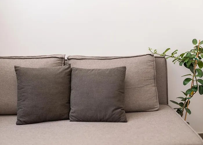 Magical Brand New Ziparion