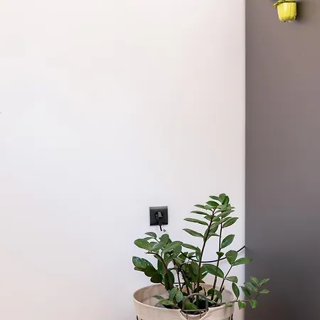 Magical Brand New Apartment *