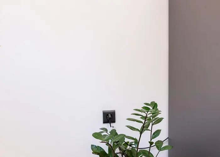 Magical Brand New Apartament *